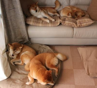 _高校运动会:青春追梦的炽热现场_,高校运动会开幕式视频