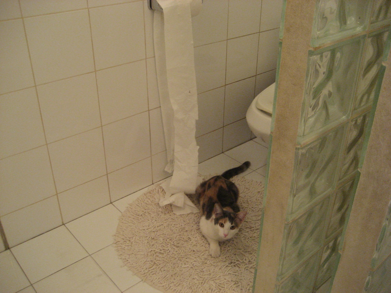 _骑士年轻新星崭露头角,犹如黑马突围_,骑士新作