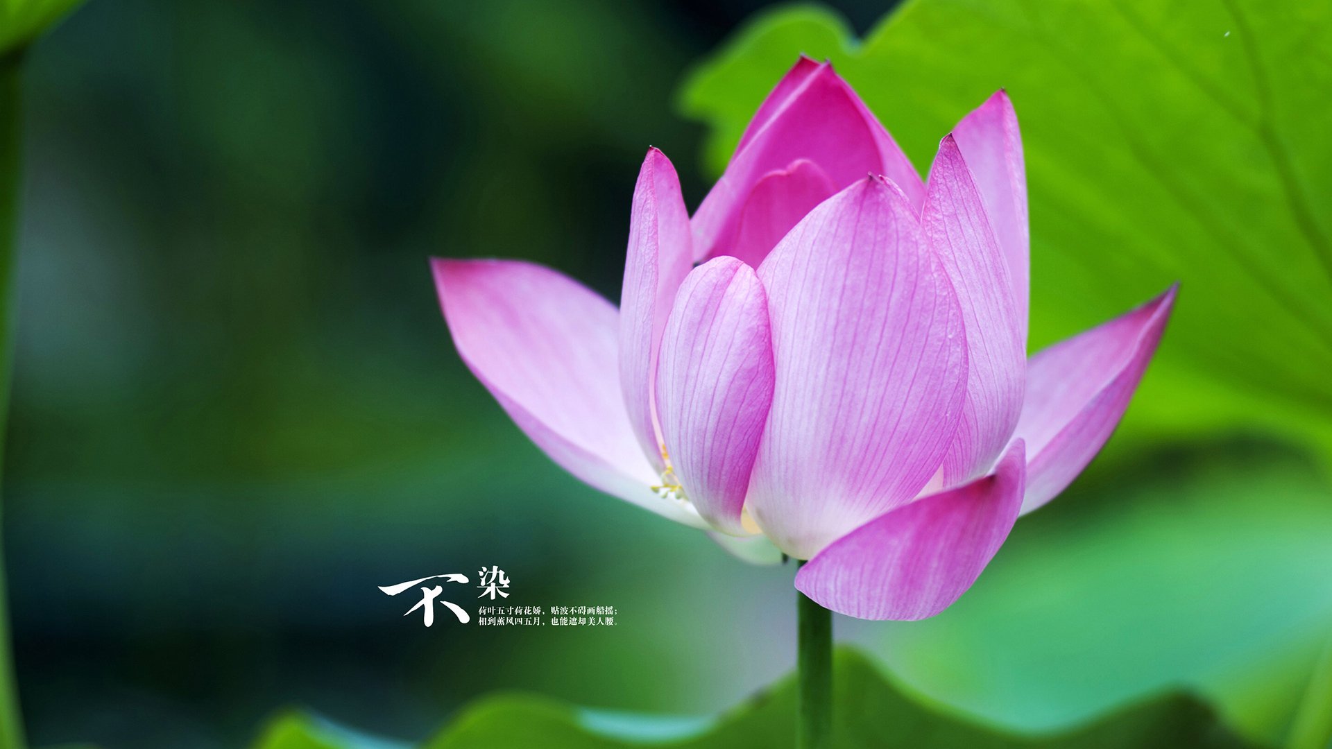 “中国女足在世预赛中迎来关键战役,争夺出线希望”,中国女足世预赛战绩