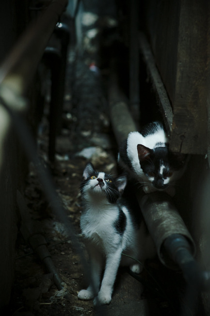 开云官方网站-_马刺队未来可期，年轻球员潜力尽显_，马刺球员2021