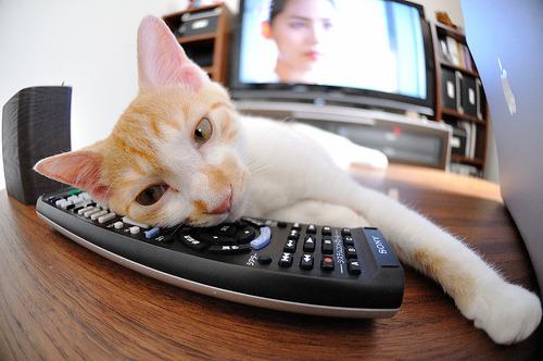 开云体育-_鹈鹕队士气高涨，冲刺季后赛_，鹈鹕 队