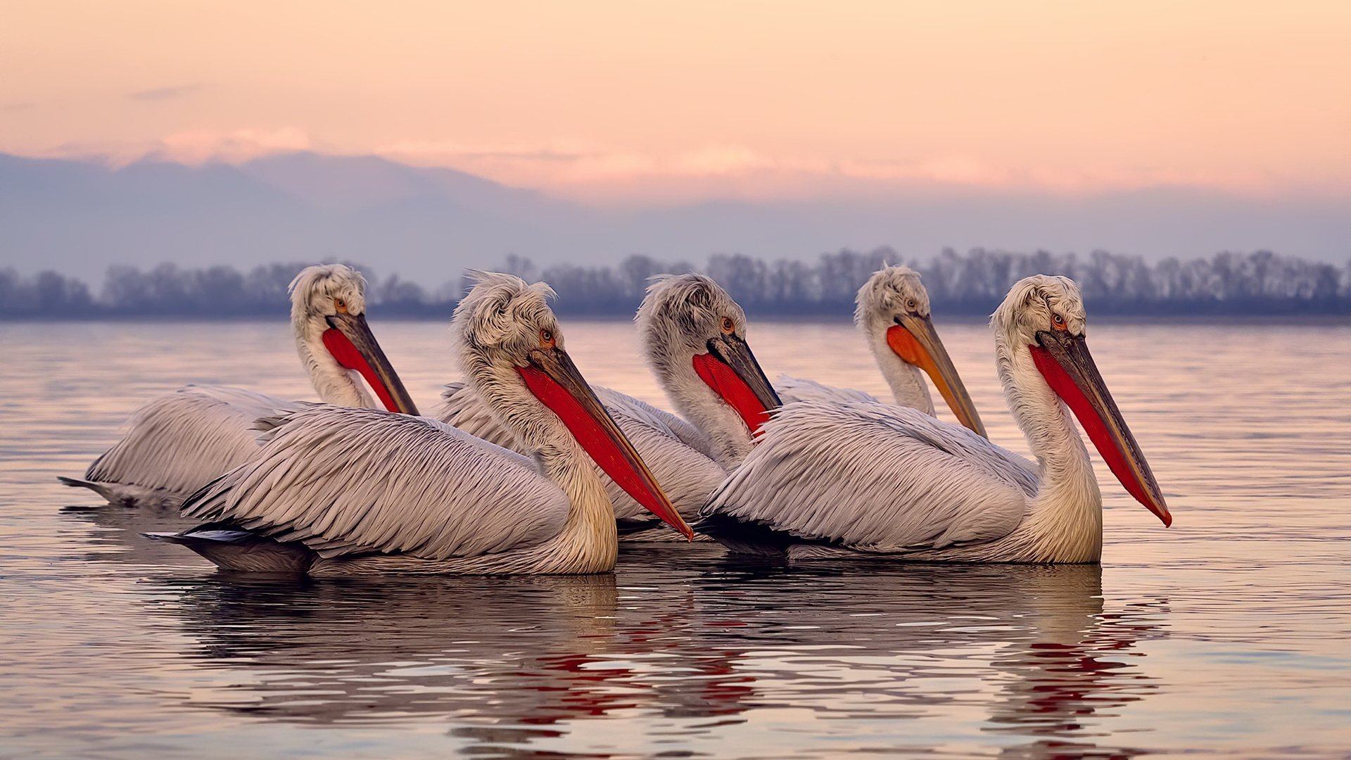KAIYUNAPP-“中国女足备战亚洲杯，战术多变令人期待”，中国女足亚洲杯日程