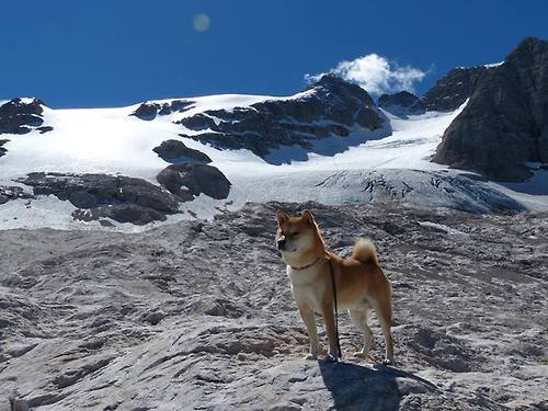 _魔术队团队配合出色,战胜强敌_,团队魔术表演教程