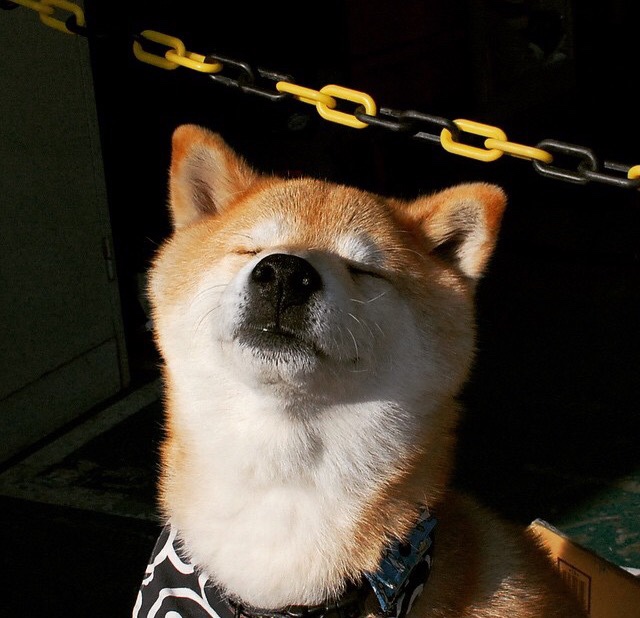 AYX官网-《新秀出击：年轻力量引领电竞新潮流》，新秀啥意思