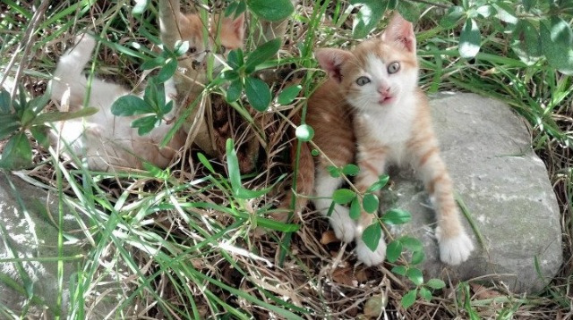 爱游戏官方-【Judge怒刷纪录】亚伦·贾奇达成单赛季最多全垒打