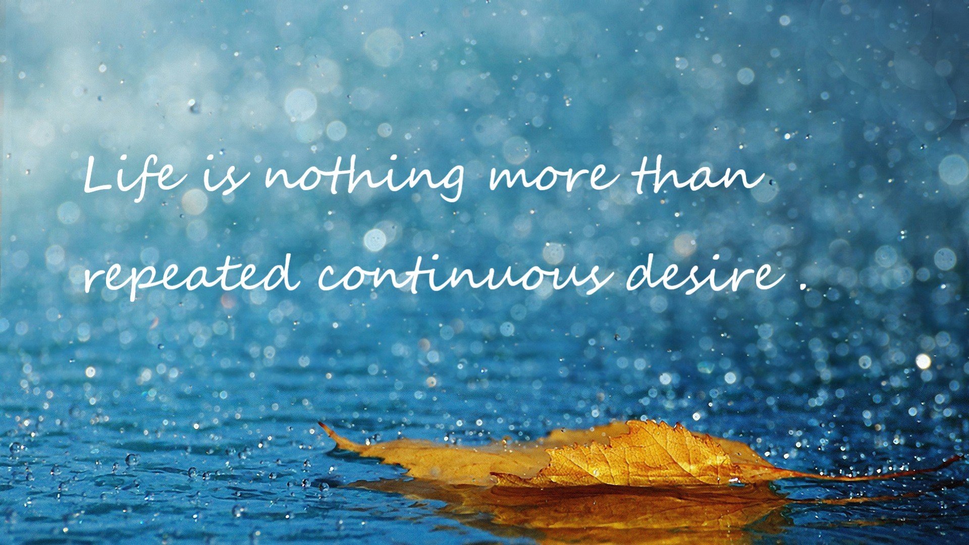 【战术深度】马克·塞尔比：从防守到反攻的完美转变，马克塞尔比训练