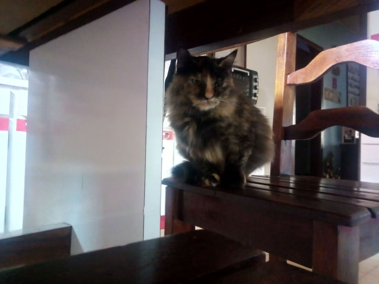 半决赛前瞻:阿根廷迎战荷兰,阿根廷对荷兰集锦