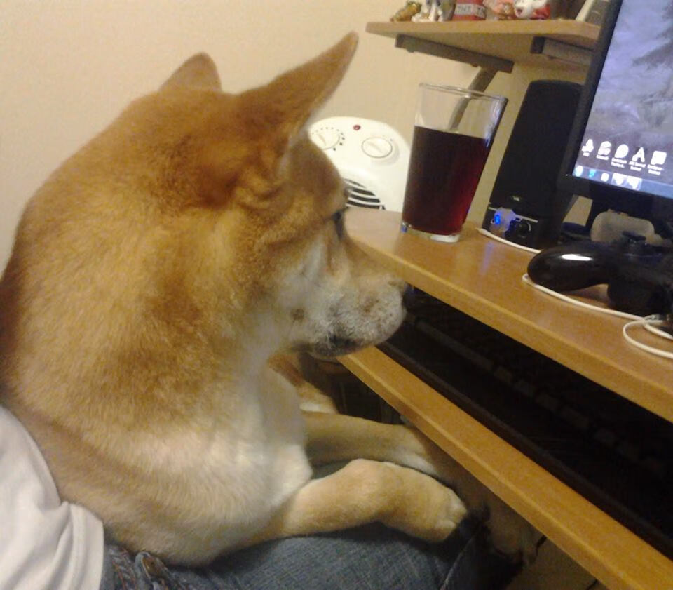 AYX体育官网-国内外篮球名将助阵中国青少年篮球培训交流，2019全国青少年篮球特色学校