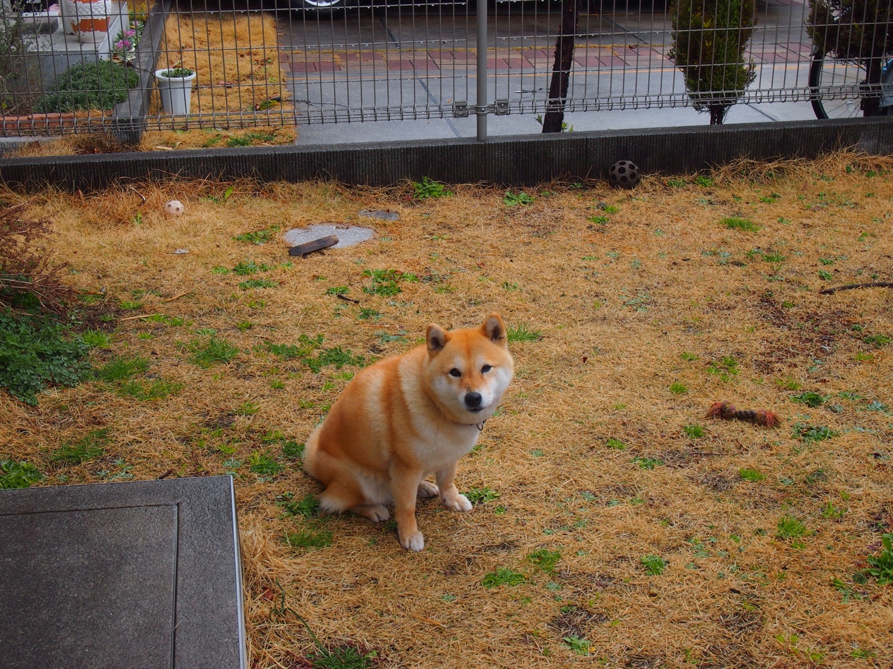 德甲焦点战：莱比锡点射绝杀柏林联合，积分榜前五争夺升级，德甲莱比锡2021年阵容