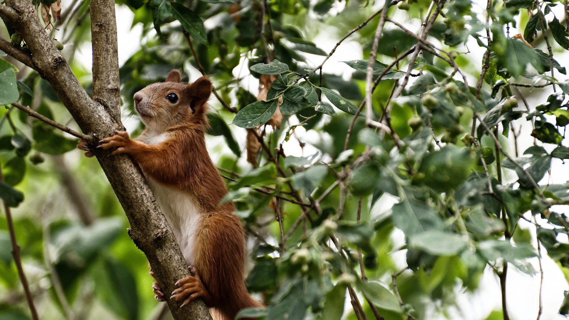 爱游戏官网-特色地下洞穴探险，黑暗中的欢乐对抗，地下洞探险记作文450