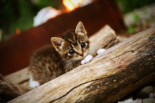 英超赛后专家分析,强调控球率变化在战术布局中的重要作用,英超传控球队