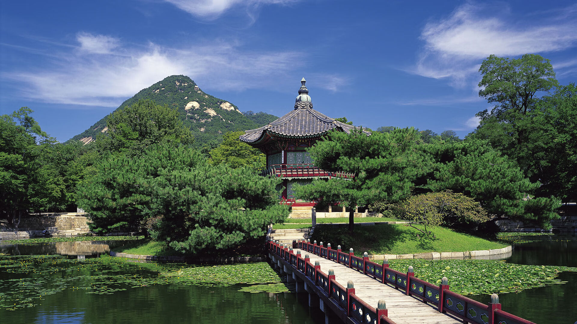 足球解说员培训计划全面展开,足球解说员需要做到哪几点