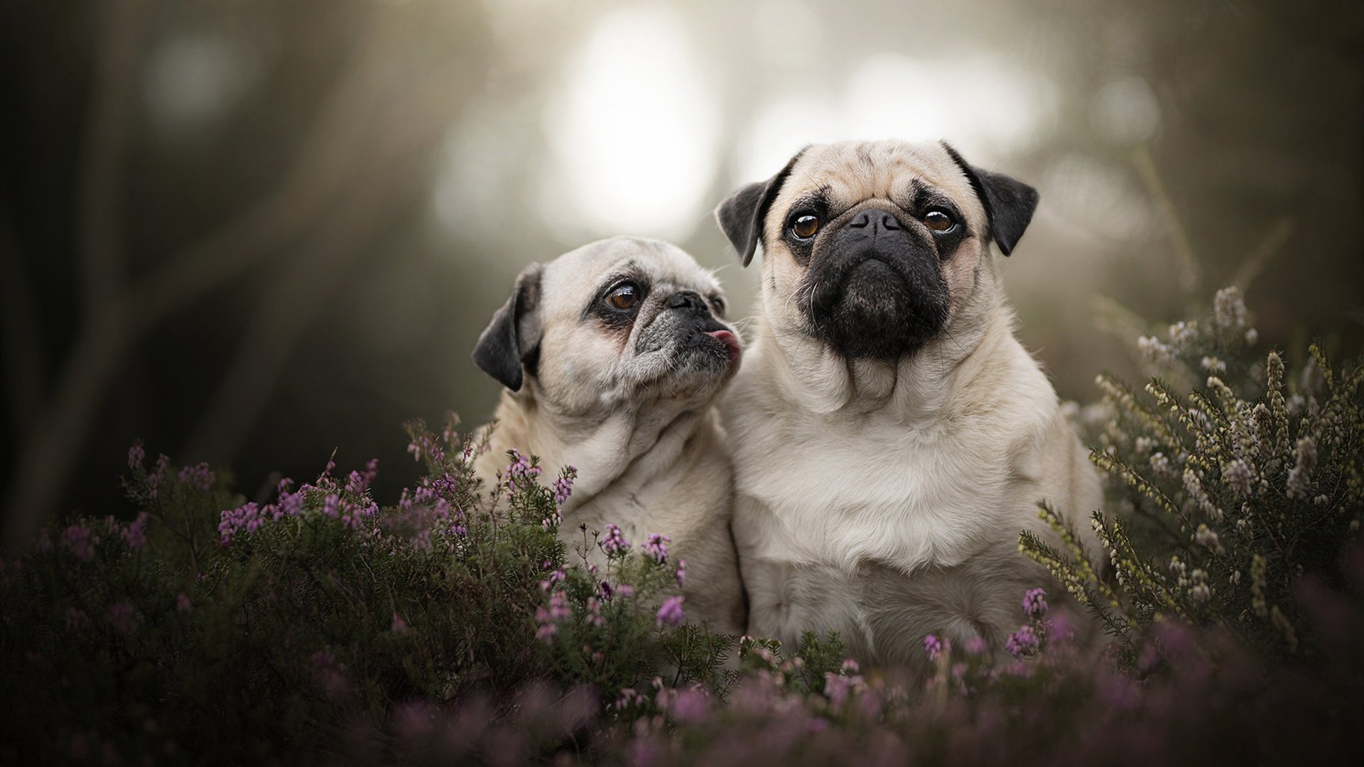 AYX体育-远射“炸裂”：那些辉煌瞬间震撼全场，远射兵击