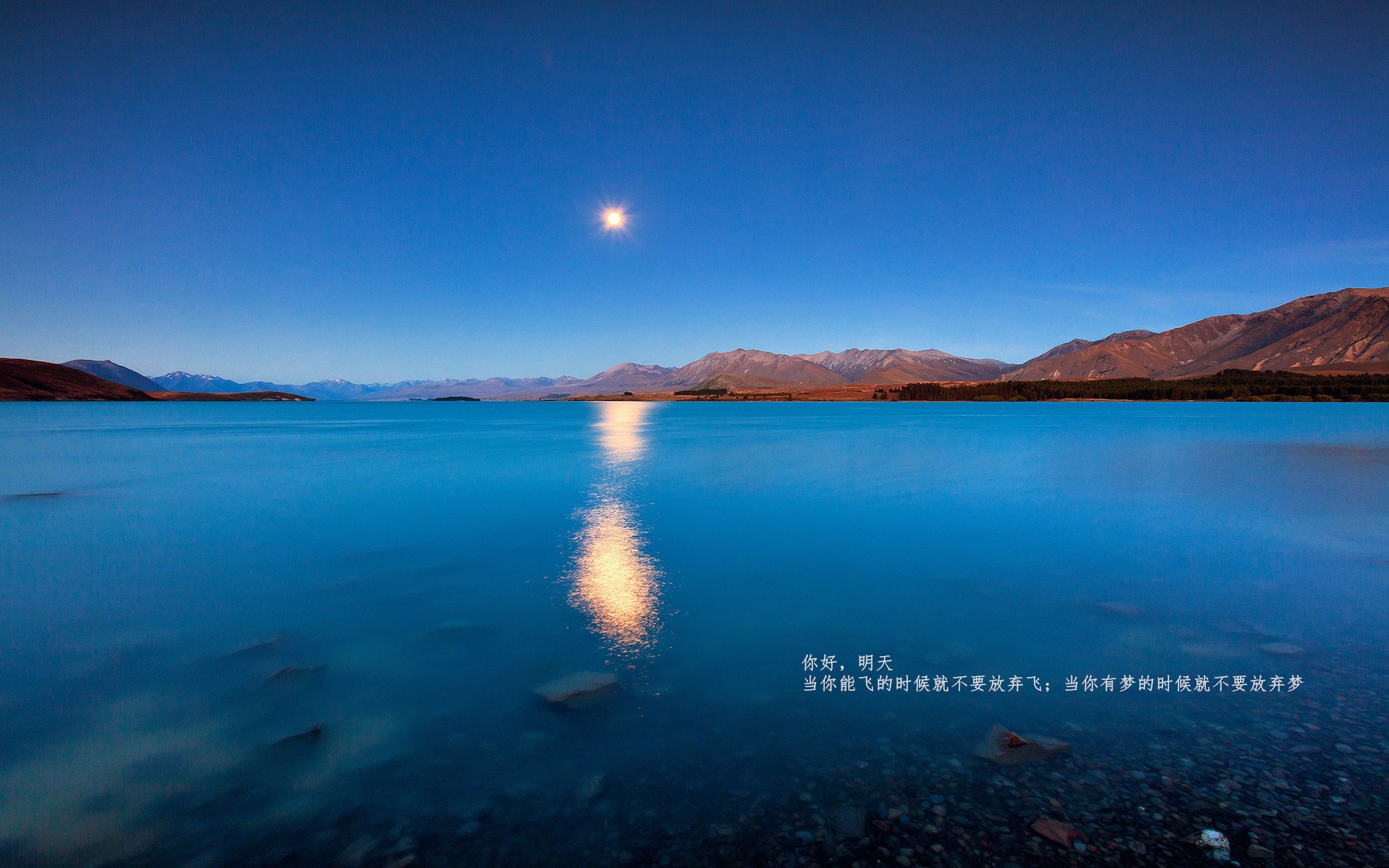 爱游戏登录入口-冰岛奇迹再现，欧洲杯中爆冷淘汰荷兰晋级八强，冰岛欧洲杯黑马