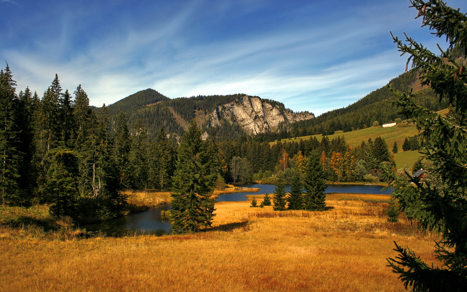 爱游戏体育APP下载-博尔顿锋线连续建功，巨人球场瞄准英冠，博尔顿吧