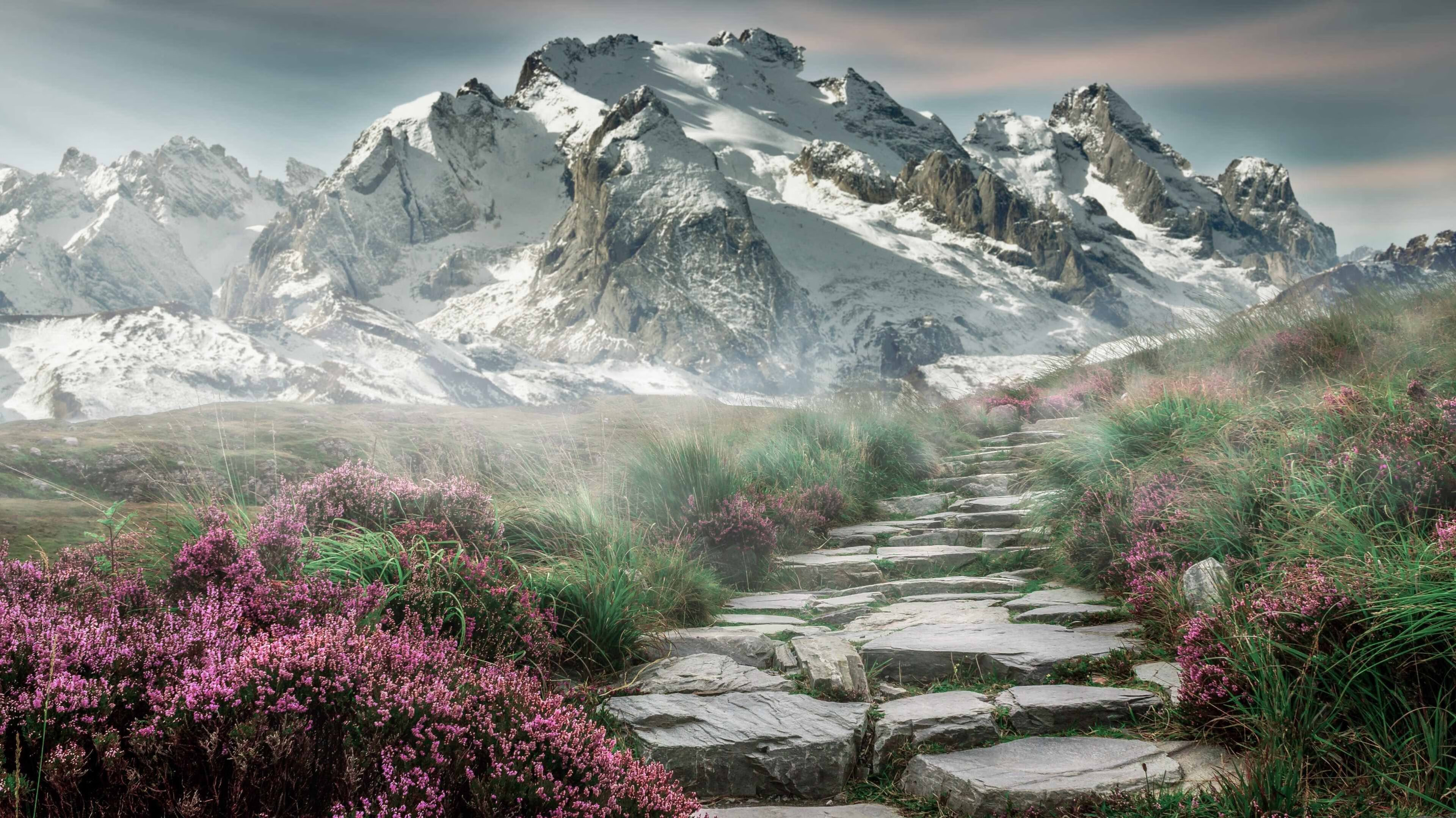 博尔顿锋线连续建功，巨人球场瞄准英冠，博尔顿吧