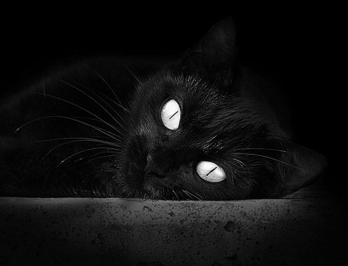 AYX体育官网-基耶沃客场一球小胜，积分榜上升，球员基耶利尼