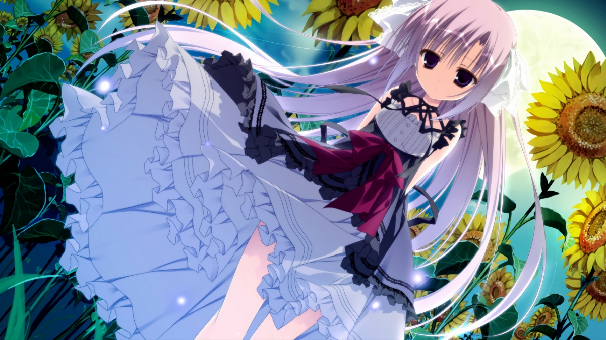 爱游戏娱乐-悉尼国王季后赛席位稳固，悉尼国王vs珀斯野猫直播