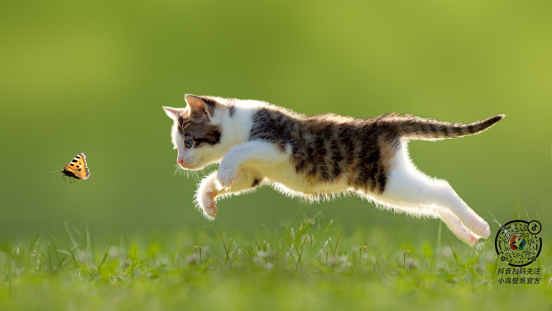 难舍难分!双方实力相当,比赛进入白热化阶段,比赛进入白热化状态