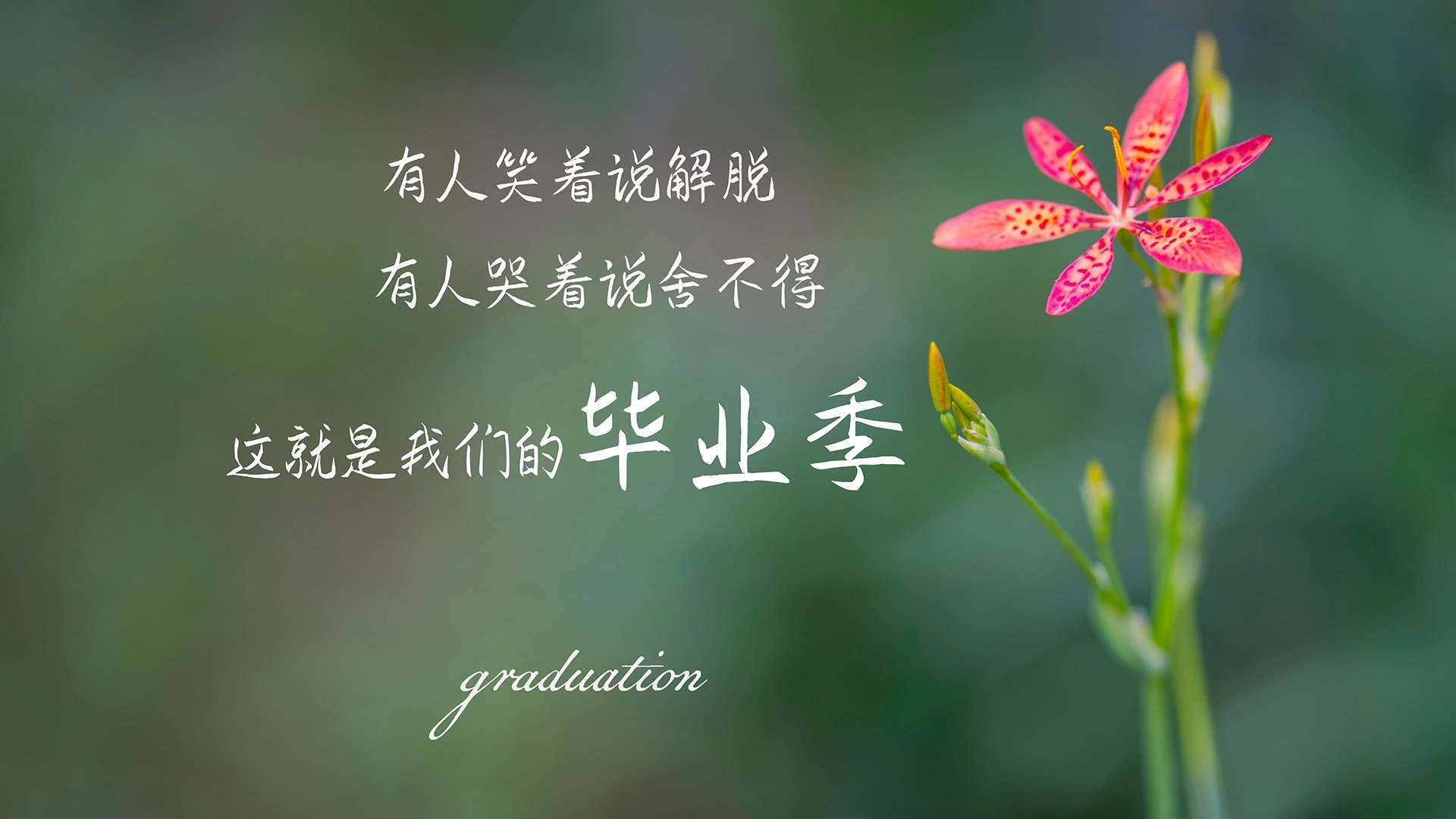 爱游戏app下载-中国篮球教练员战术布置与执行力研究，篮球教练员的执教风格