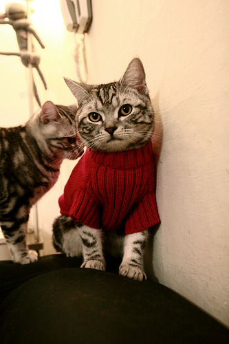 体育赛事品牌推广活动策划,体育赛事品牌推广活动策划怎么写