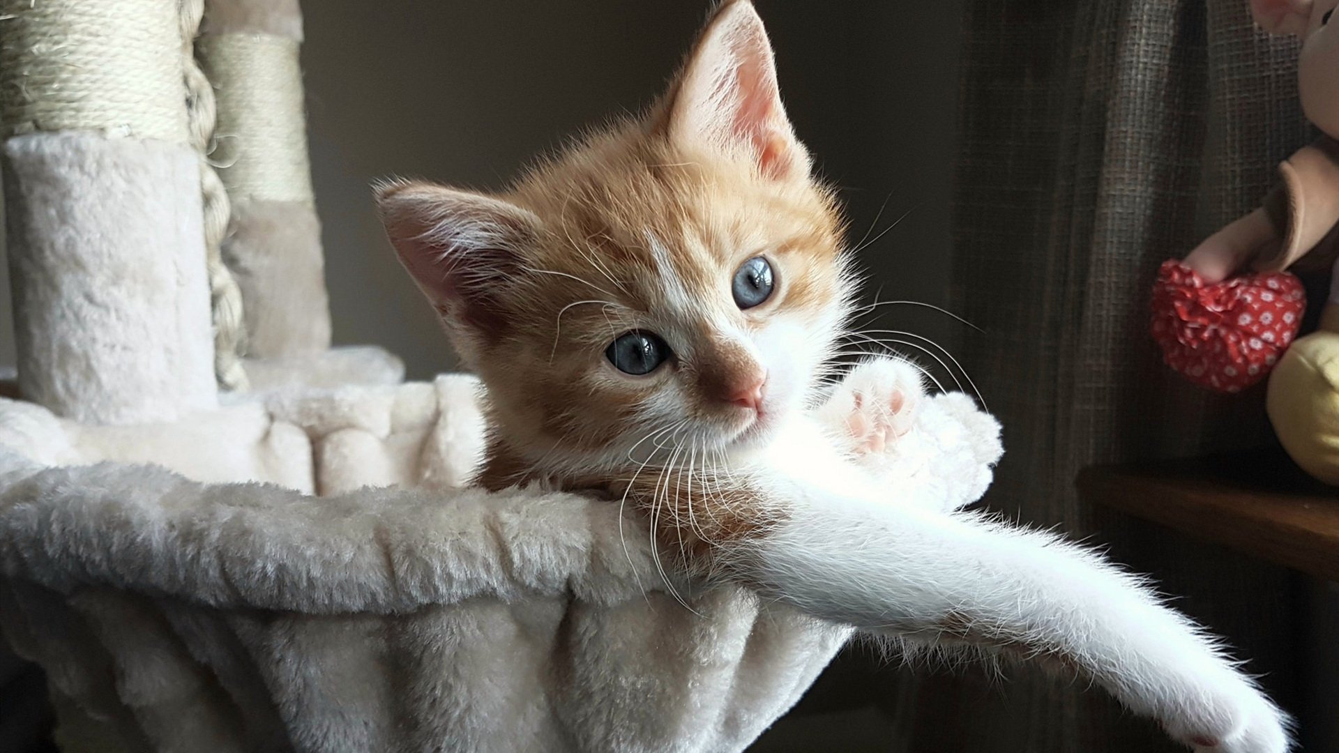 球场外的公益力量：足球推动社会责任的新维度，足球场意义