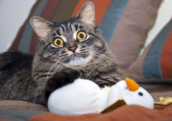 五大联赛控球时间增长是否影响场均进球数,五大联赛传控球队