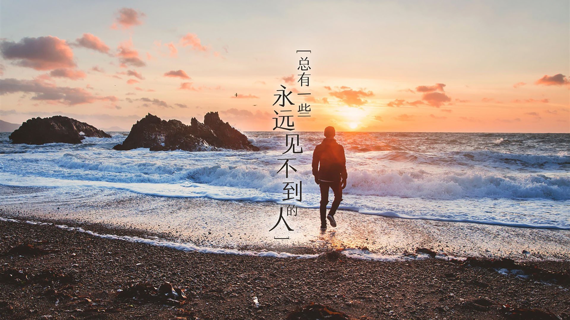 科技赋能赛事,湖滨赛场焕新体验,三文鱼吃多了胆固醇高吗