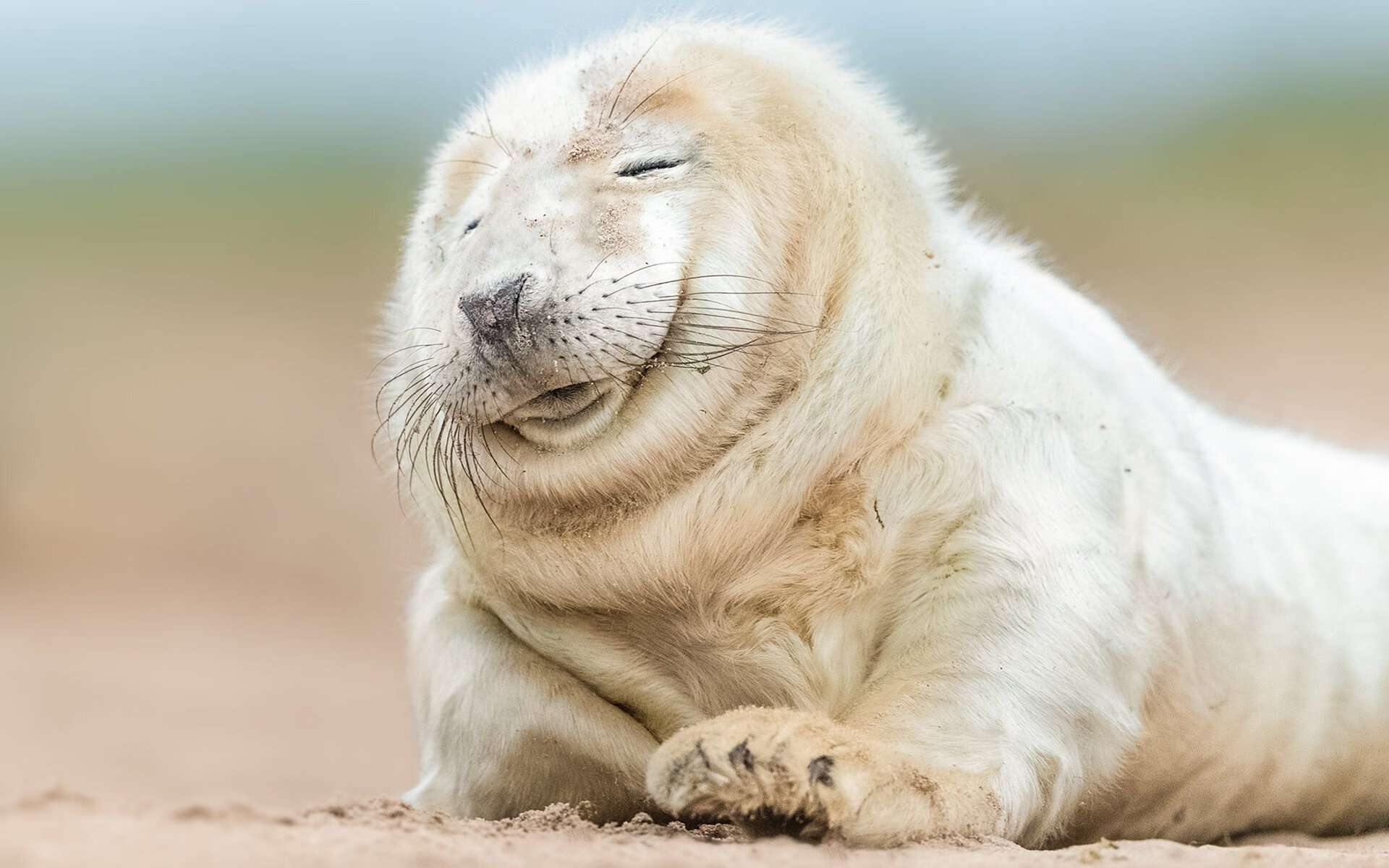 卡斯帕·科尔博稳扎稳打掌控节奏，卡尔帕克