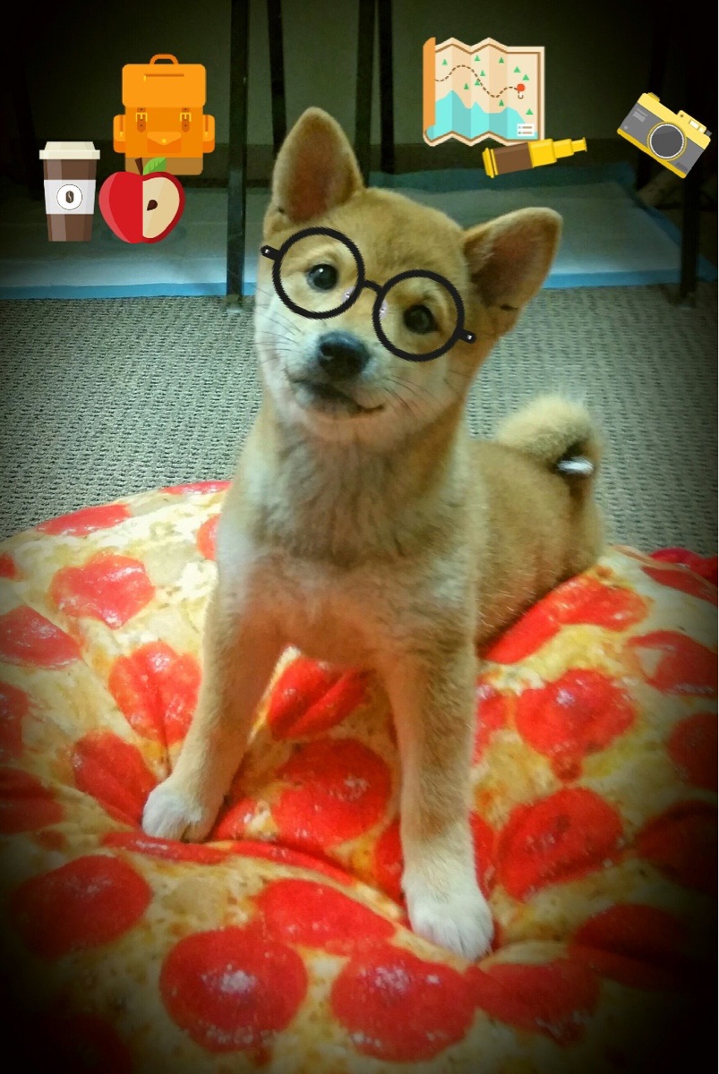 卢森堡男篮史上首次亮相国际大赛,备战中展现实力