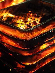 爱游戏娱乐网址-森林狼主场布景焕然一新增强品牌识别度，森林狼logo