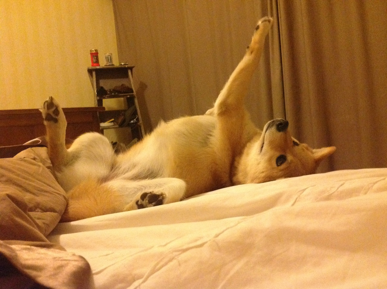 男篮亚洲杯中国小组出线在即,男篮亚洲杯国家队